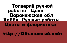 Топиарий ручной работы › Цена ­ 550 - Воронежская обл. Хобби. Ручные работы » Цветы и флористика   